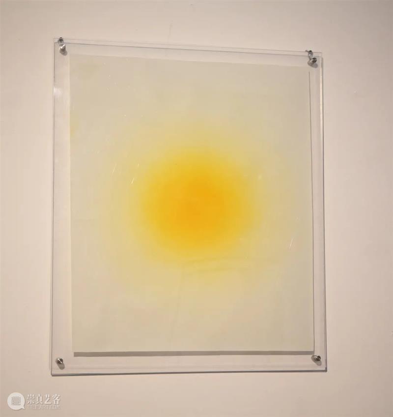展览回顾 | 回响 ECHO 视频资讯 张嘉宁 ECHO 策展人 Curator 陆佳 Jia 艺术家 Artists 何艺雯 严许雨 张嘉宁 崇真艺客